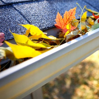 Gutter Cleaning Chislehurst